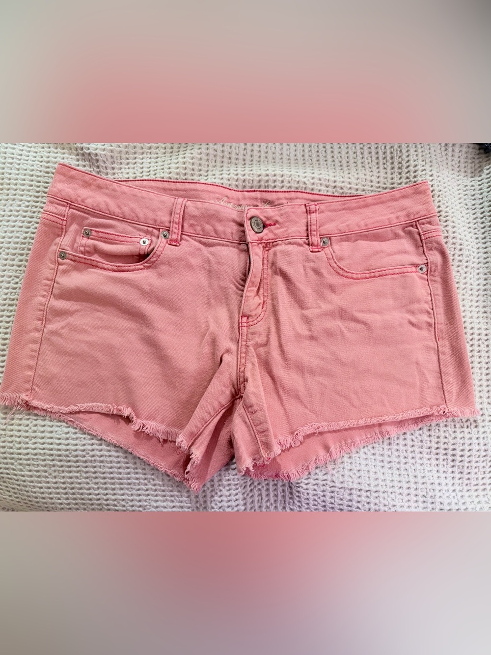NWOT | American Eagle | Y2K | Low Rise Denim Shorts | Size 14